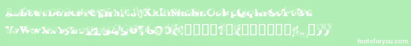 CoopDeville Font – White Fonts on Green Background