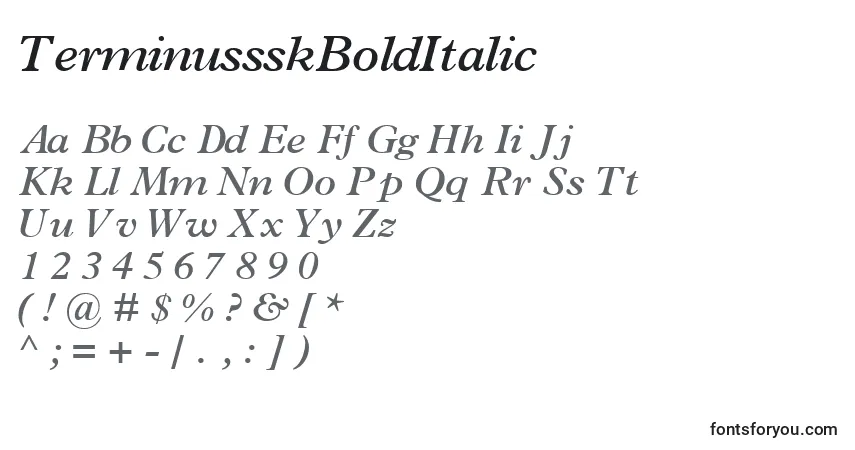 A fonte TerminussskBoldItalic – alfabeto, números, caracteres especiais
