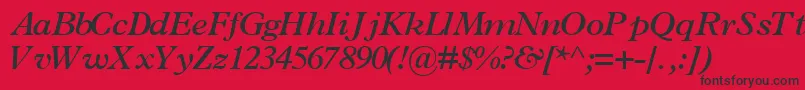 TerminussskBoldItalic Font – Black Fonts on Red Background