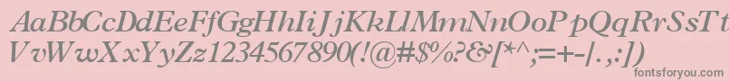 TerminussskBoldItalic Font – Gray Fonts on Pink Background