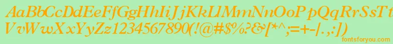 TerminussskBoldItalic Font – Orange Fonts on Green Background
