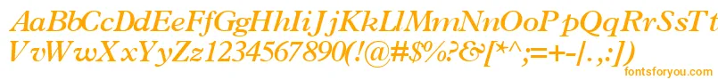 TerminussskBoldItalic Font – Orange Fonts on White Background