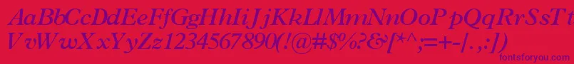 TerminussskBoldItalic Font – Purple Fonts on Red Background