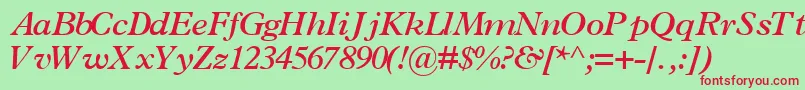 TerminussskBoldItalic Font – Red Fonts on Green Background