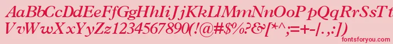 TerminussskBoldItalic-Schriftart – Rote Schriften auf rosa Hintergrund