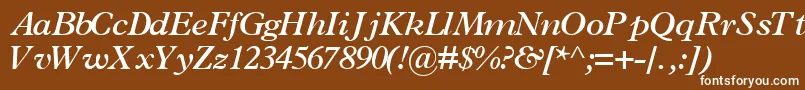 TerminussskBoldItalic-Schriftart – Weiße Schriften auf braunem Hintergrund