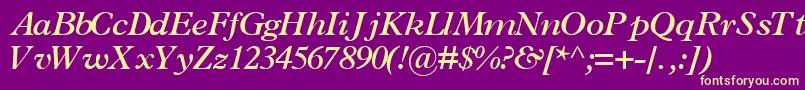 TerminussskBoldItalic Font – Yellow Fonts on Purple Background