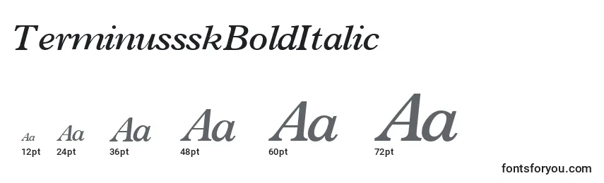 Размеры шрифта TerminussskBoldItalic