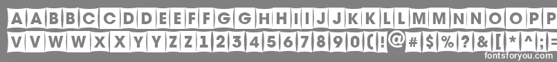 フォントAvante8 – 灰色の背景に白い文字