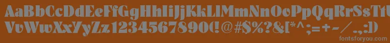 PickwickRegular-Schriftart – Graue Schriften auf braunem Hintergrund