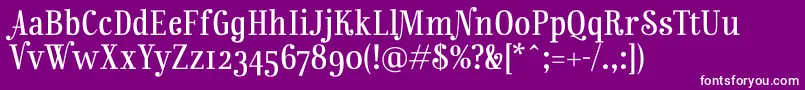 RainbowmansionOsf Font – White Fonts on Purple Background