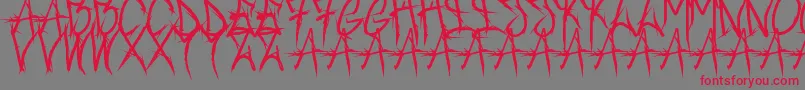 フォントBrushofanarchyoutline – 赤い文字の灰色の背景