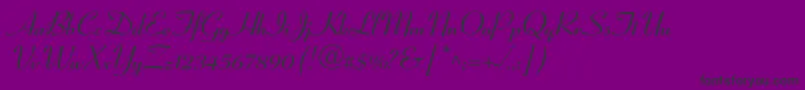 CoronetltstdBold-Schriftart – Schwarze Schriften auf violettem Hintergrund