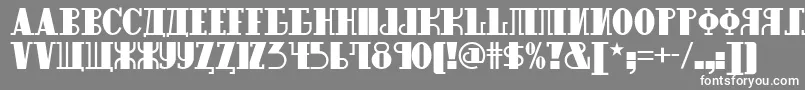 Raskalnikov Font – White Fonts on Gray Background