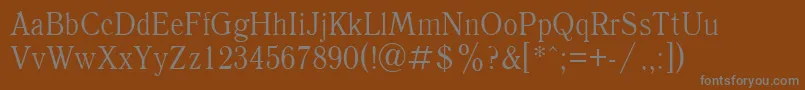 Antiqua90n Font – Gray Fonts on Brown Background