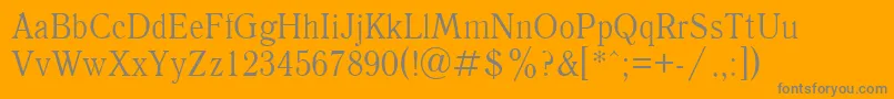 Antiqua90n Font – Gray Fonts on Orange Background