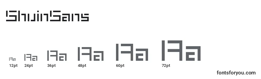 Размеры шрифта ShuinSans