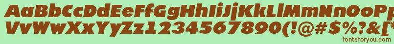 AFuturicanordItalic Font – Brown Fonts on Green Background