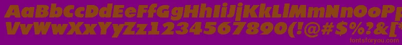 AFuturicanordItalic Font – Brown Fonts on Purple Background