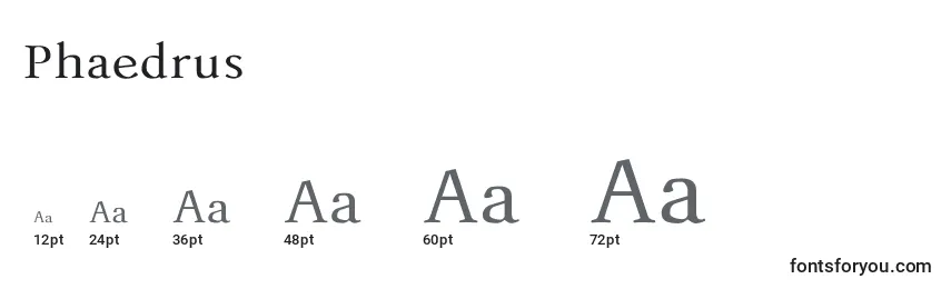 sizes of phaedrus font, phaedrus sizes