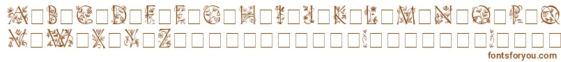 FleurdisplaycapsssiMedium Font – Brown Fonts on White Background