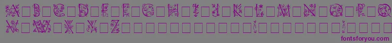 FleurdisplaycapsssiMedium-Schriftart – Violette Schriften auf grauem Hintergrund
