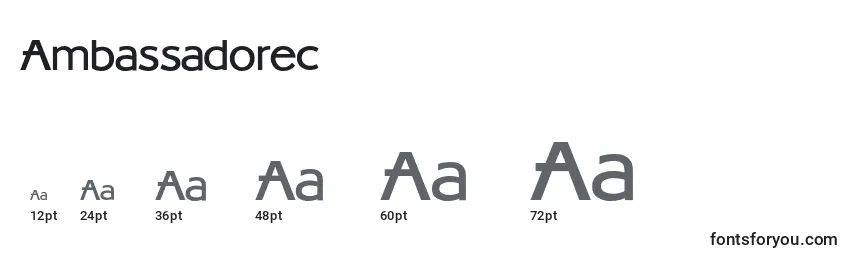 Ambassadorec Font Sizes