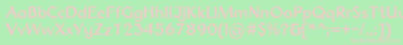 Normadica43Db Font – Pink Fonts on Green Background