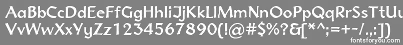 Normadica43Db Font – White Fonts on Gray Background
