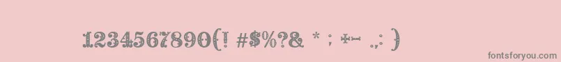 BaroccoFloralInitial Font – Gray Fonts on Pink Background