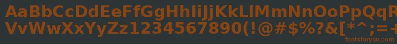 BitstreamVeraSansBold Font – Brown Fonts on Black Background