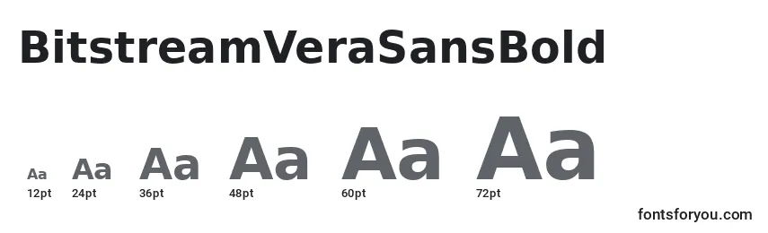 BitstreamVeraSansBold Font Sizes