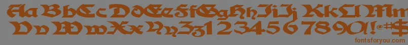 フォントTampicosskBold – 茶色の文字が灰色の背景にあります。
