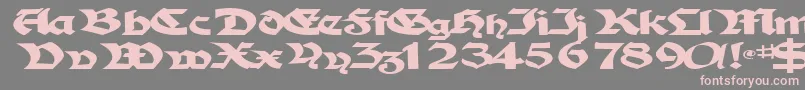 フォントTampicosskBold – 灰色の背景にピンクのフォント