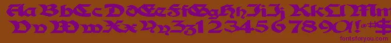 TampicosskBold Font – Purple Fonts on Brown Background