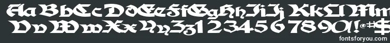 フォントTampicosskBold – 白い文字