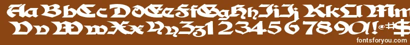 Шрифт TampicosskBold – белые шрифты на коричневом фоне