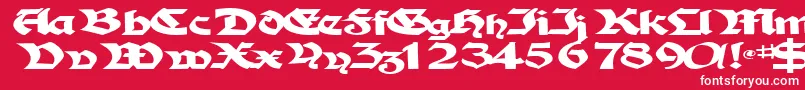 フォントTampicosskBold – 赤い背景に白い文字