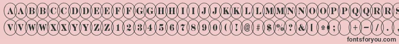 DiscoserifnrovlRegular Font – Black Fonts on Pink Background