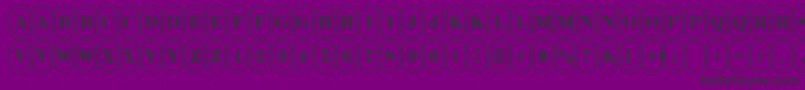 DiscoserifnrovlRegular Font – Black Fonts on Purple Background