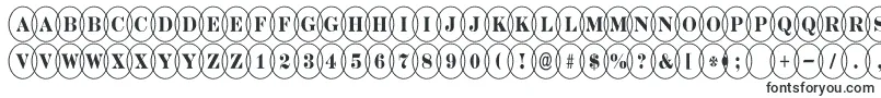 DiscoserifnrovlRegular-Schriftart – Schriftarten, die mit D beginnen