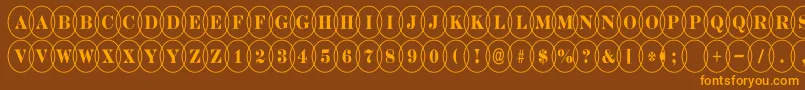 DiscoserifnrovlRegular Font – Orange Fonts on Brown Background