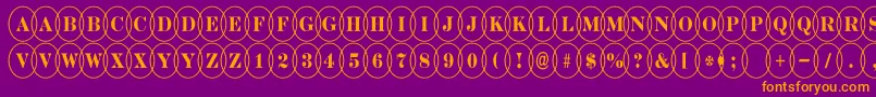 DiscoserifnrovlRegular Font – Orange Fonts on Purple Background