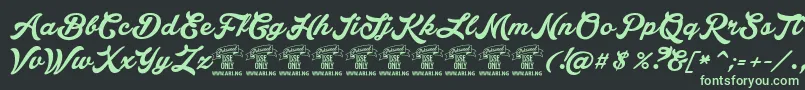 LakesightPersonaluseonly Font – Green Fonts on Black Background