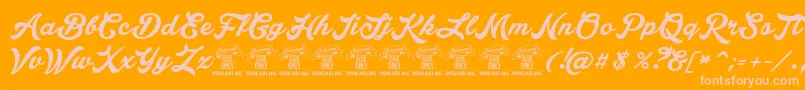 LakesightPersonaluseonly Font – Pink Fonts on Orange Background