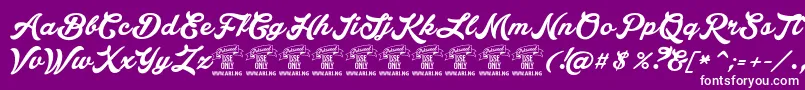 LakesightPersonaluseonly Font – White Fonts on Purple Background