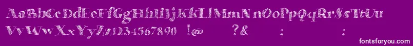 MilanoTrafficDemo Font – White Fonts on Purple Background