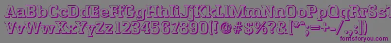 EnschedeshadowBold Font – Purple Fonts on Gray Background