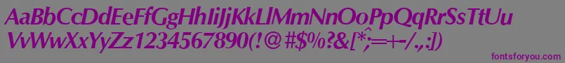 Шрифт O801FlareBolditalic – фиолетовые шрифты на сером фоне