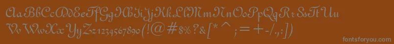 フォントFrench111Bt – 茶色の背景に灰色の文字